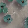 __20187