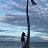 amlara