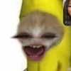 _narjess__