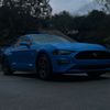 nikko5.0