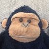mr.monkey211
