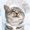 4kittykake