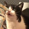 screretaccuntuser07