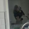 sophmurphyx
