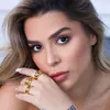 luizacioni_