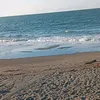 ccine5