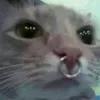 fergek_vagyunk