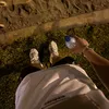 iamalencar_lf