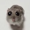 po_pyti_komedii