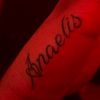 anaelis.h