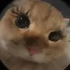 lesyeuxdejey