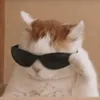zwhaverkd