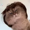 chloebertinchamps