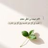 majeed..11
