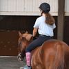 horses ❤️