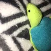sally..turtle