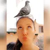 andrea_chat