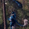 nordicdovah7