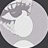 gavin_gane