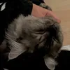 irw9_