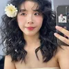 linhtrangtran