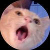 okbean0