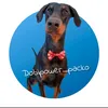 dobipower_packo