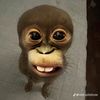 daniii.pen