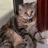 leo.cantik_0