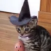 stardewchicken