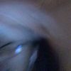 .scariett