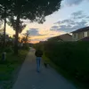siriforslundd