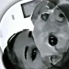 daydreamicons