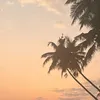 urmumswcw_