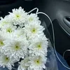 odesiiign