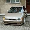 tolgamtf