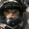 katrinawww_