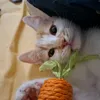 donsimonthecat3