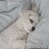mynameispaoki