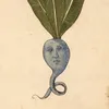 mediocrebard888