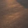 username1543098