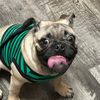 harvey_20236