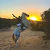 explorerkhokha