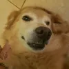 azuul_1510