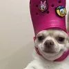 cfbaldonado_