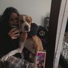 bri..price_