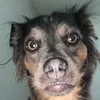 rafaellaalvessoar