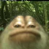 sryeetusfeetus