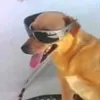 loren_beatriz