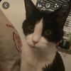 username222428
